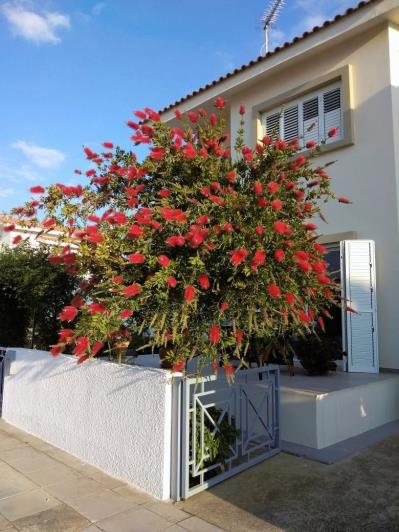 Image No.5-Appartement de 2 chambres à vendre à Pervolia