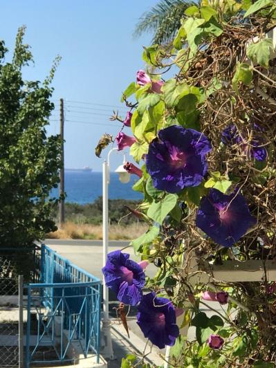 Image No.2-4 Bed Villa for sale