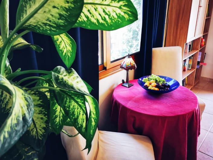 Image No.5-Villa de 2 chambres à vendre à Akrounta