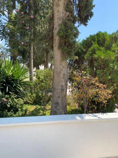 Image No.32-3 Bed Apartment for sale