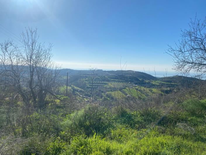 Image No.12-Villa de 3 chambres à vendre à Tsada