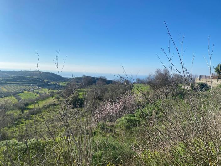 Image No.22-Villa de 3 chambres à vendre à Tsada