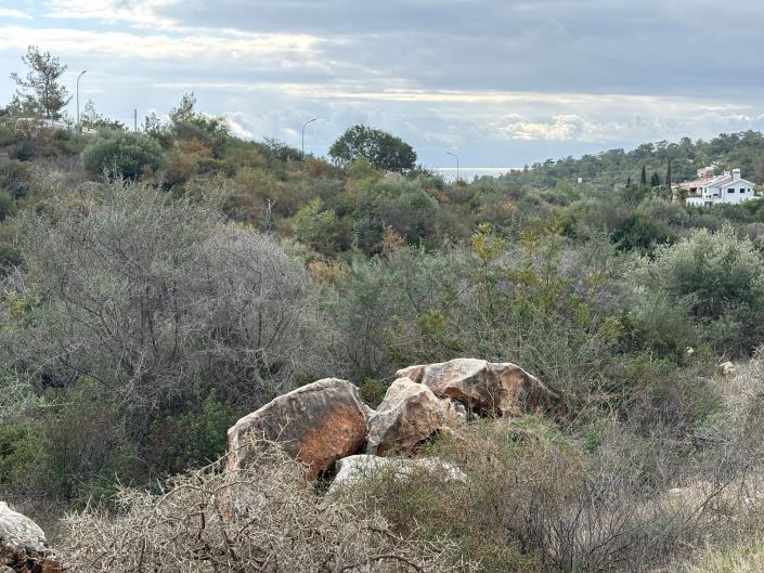 Image No.2-Bungalow de 3 chambres à vendre à Souni