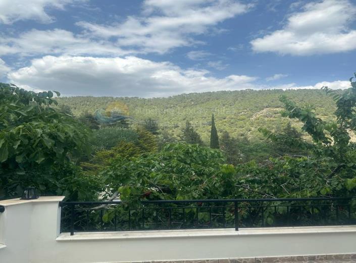 Image No.3-3 Bed Villa / Detached for sale