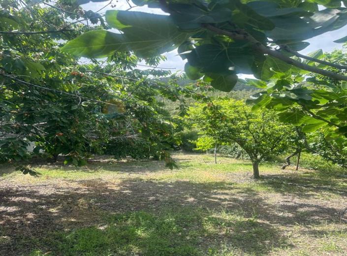 Image No.20-3 Bed Villa / Detached for sale