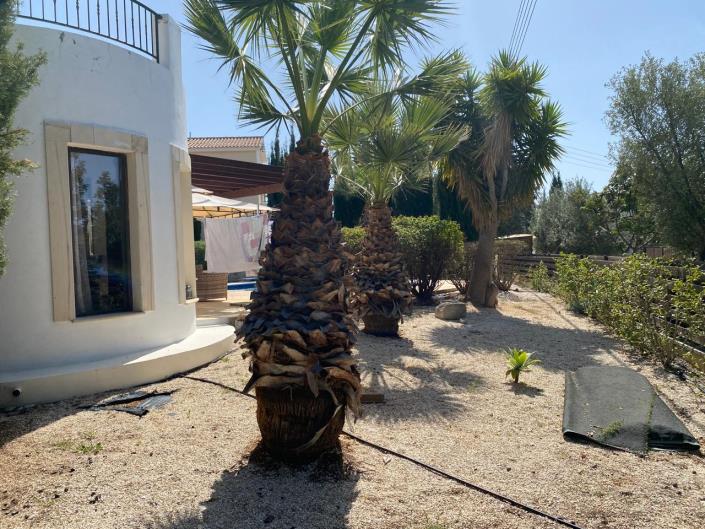 Image No.15-Bungalow de 3 chambres à vendre à Kouklia