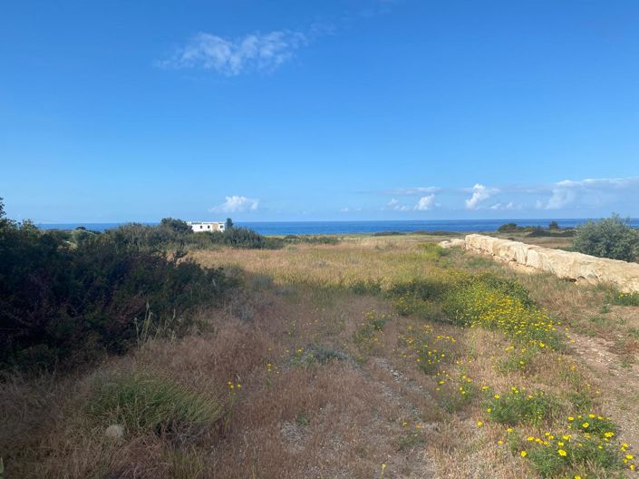 Image No.4-Villa de 4 chambres à vendre à Paphos