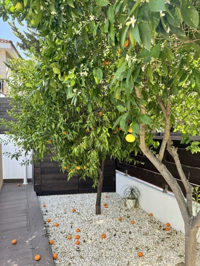 Image No.16-5 Bed Villa for sale