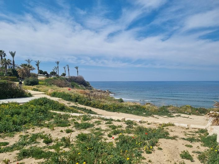 Image No.32-5 Bed Villa for sale