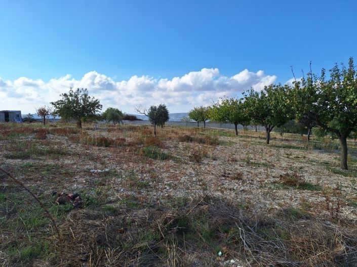 Image No.37-Bungalow de 3 chambres à vendre à Limassol