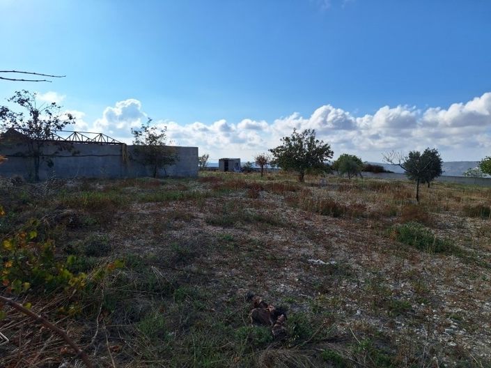 Image No.39-Bungalow de 3 chambres à vendre à Limassol