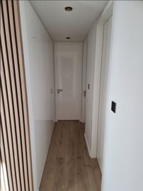 14644944463