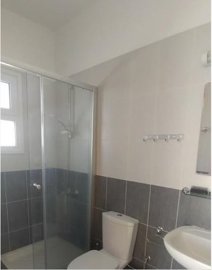 8952908474