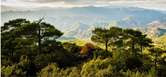 Image No.19-3 Bed Villa for sale