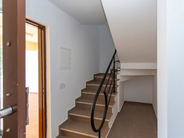 14954129155