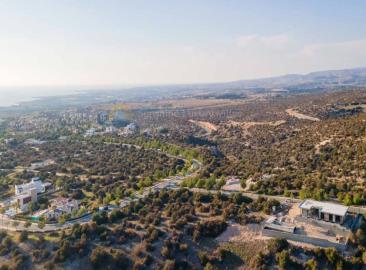 ImageProcessor-aspx-10