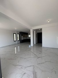 14995906381