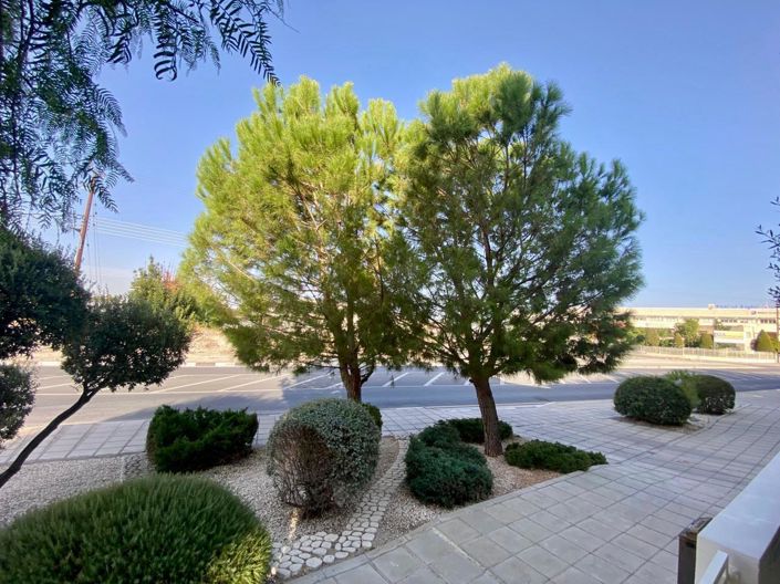 Image No.27-Villa de 5 chambres à vendre à Larnaca