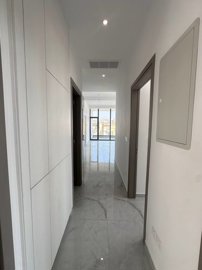 14392625393
