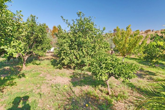 Image No.32-2 Bed Bungalow for sale