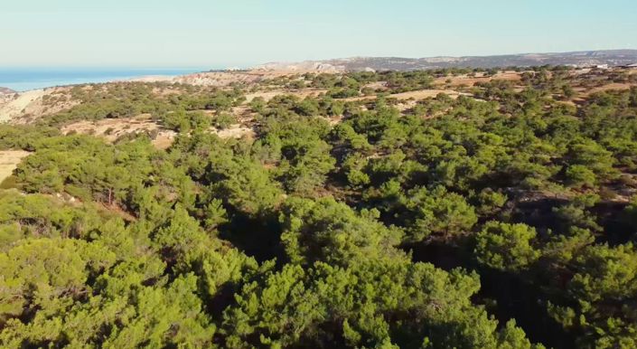 Image No.14-2 Bed Villa for sale