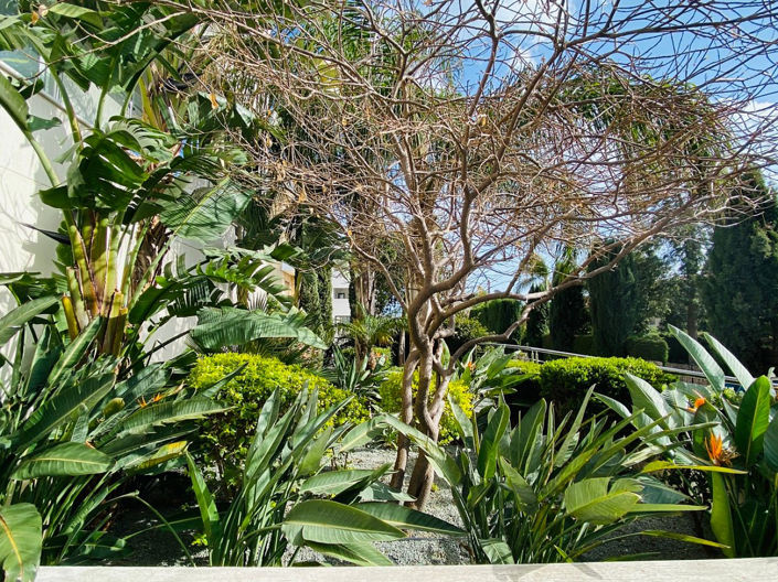 Image No.25-4 Bed Property for sale