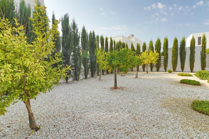 Image No.29-3 Bed Villa for sale