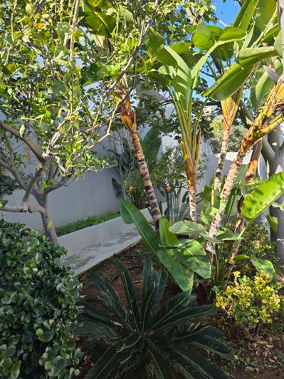 Image No.39-Villa de 4 chambres à vendre à Limassol