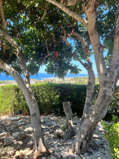 Image No.38-3 Bed Villa for sale