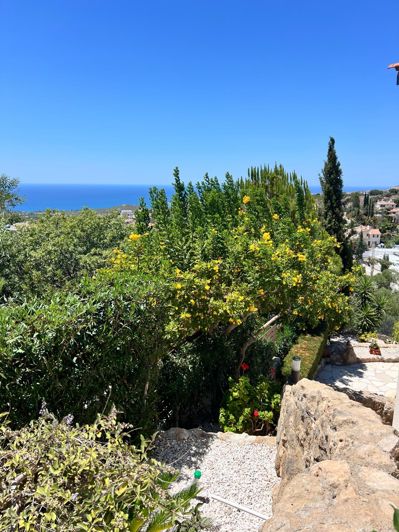 Image No.40-3 Bed Villa for sale