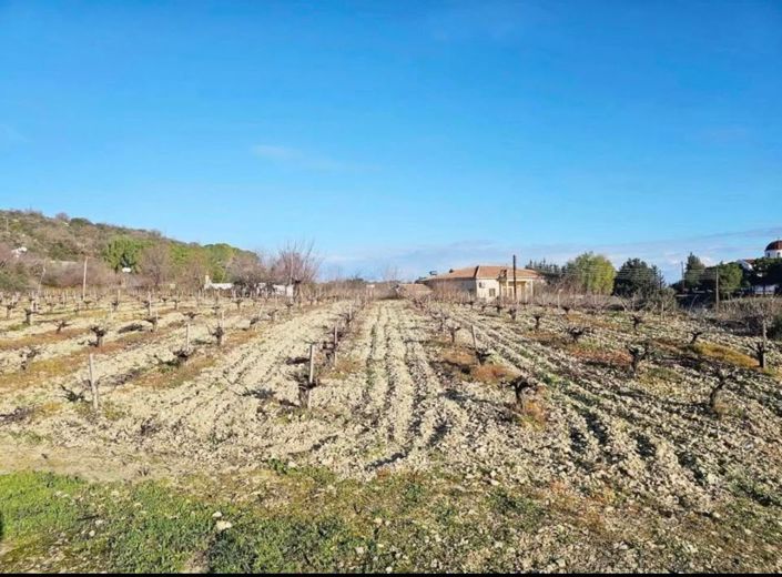 Image No.3-Plot for sale