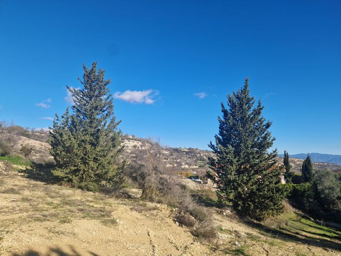 Image No.4-Land for sale