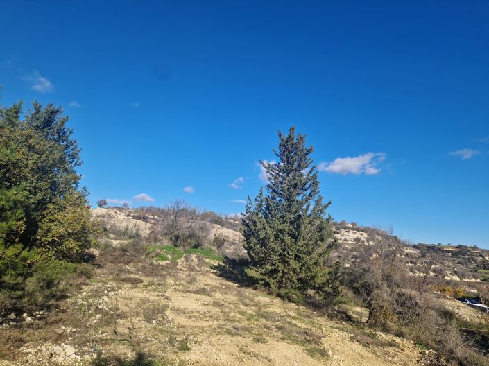 Image No.5-Land for sale