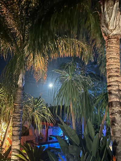 Image No.22-3 Bed Villa for sale