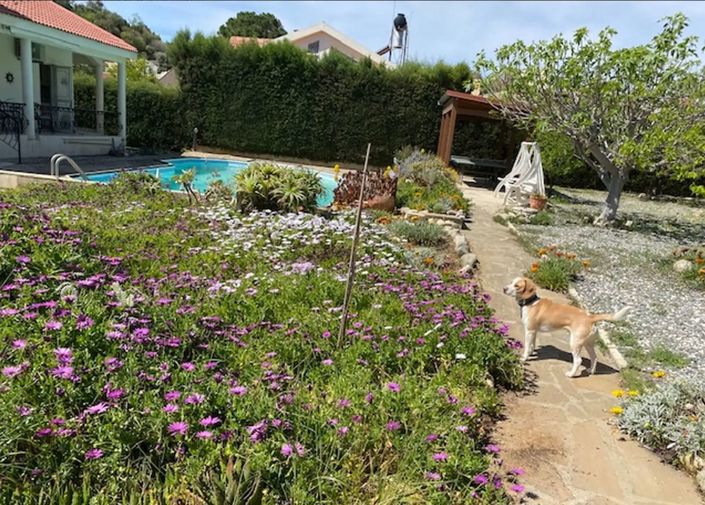 Image No.3-3 Bed Villa for sale