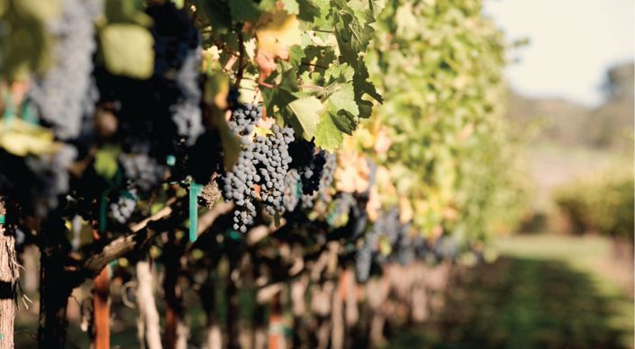 Image No.20-4 Bed Villa for sale