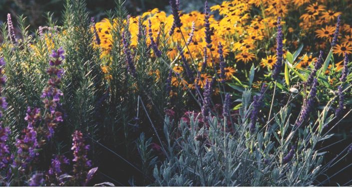 Image No.24-3 Bed Villa for sale