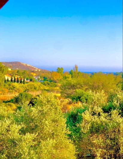 Image No.3-Villa de 3 chambres à vendre à Moni