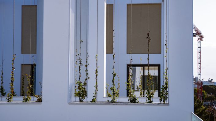 Image No.5-Propriété de 3 chambres à vendre à Limassol