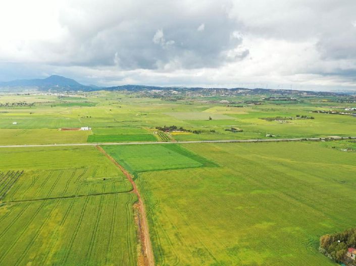 Image No.4-Land for sale