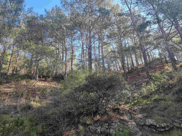 Image No.3-Land for sale