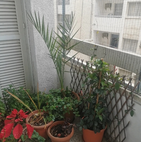 Image No.7-3 Bed Apartment for sale