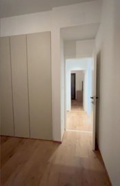 15240554039