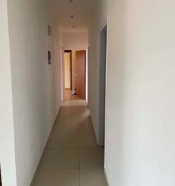 15242659437