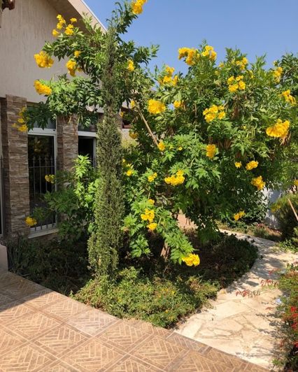 Image No.2-4 Bed Villa for sale