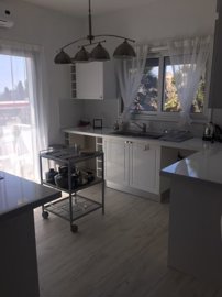 7748276539