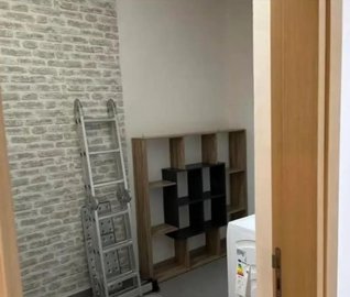 15253879811