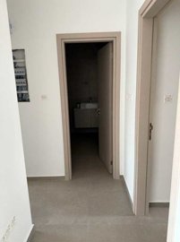 15254144131