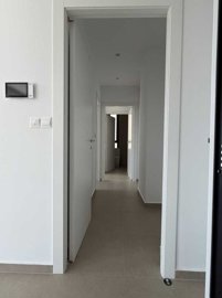 15254102686