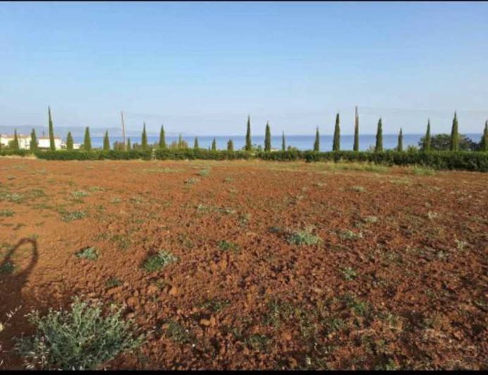 Image No.4-Land for sale